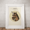 Shergar